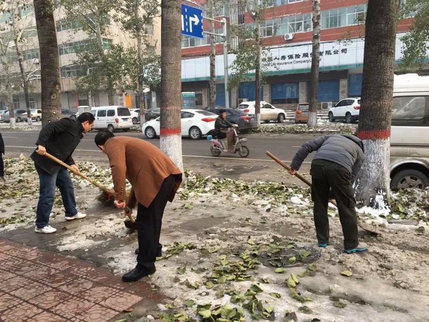 新乡市检测中心参加雪后大扫除活动