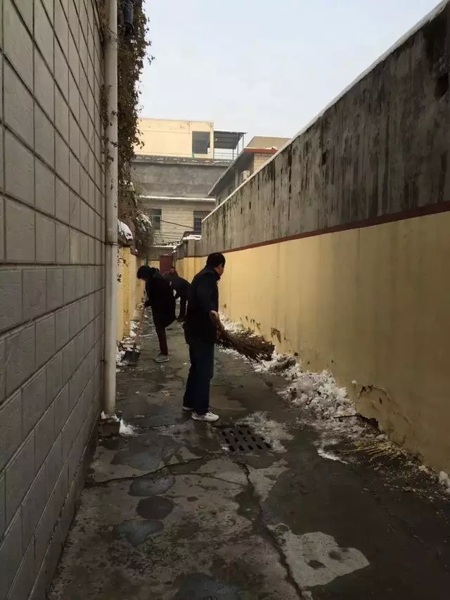 新乡市检测中心参加雪后大扫除活动